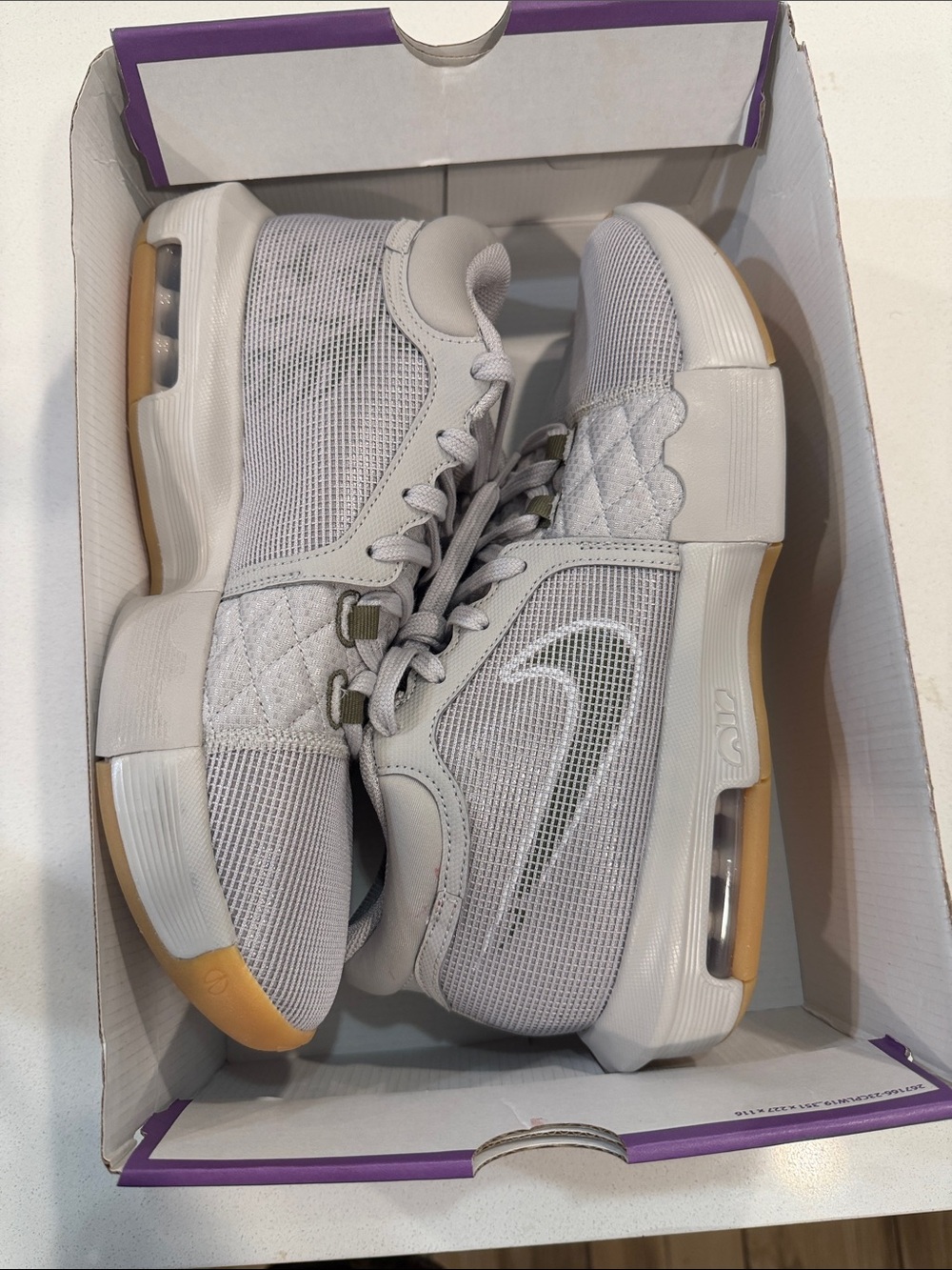 Nike Lebron Witness 8 Iron Oreo/Olive Sail FB2239-003